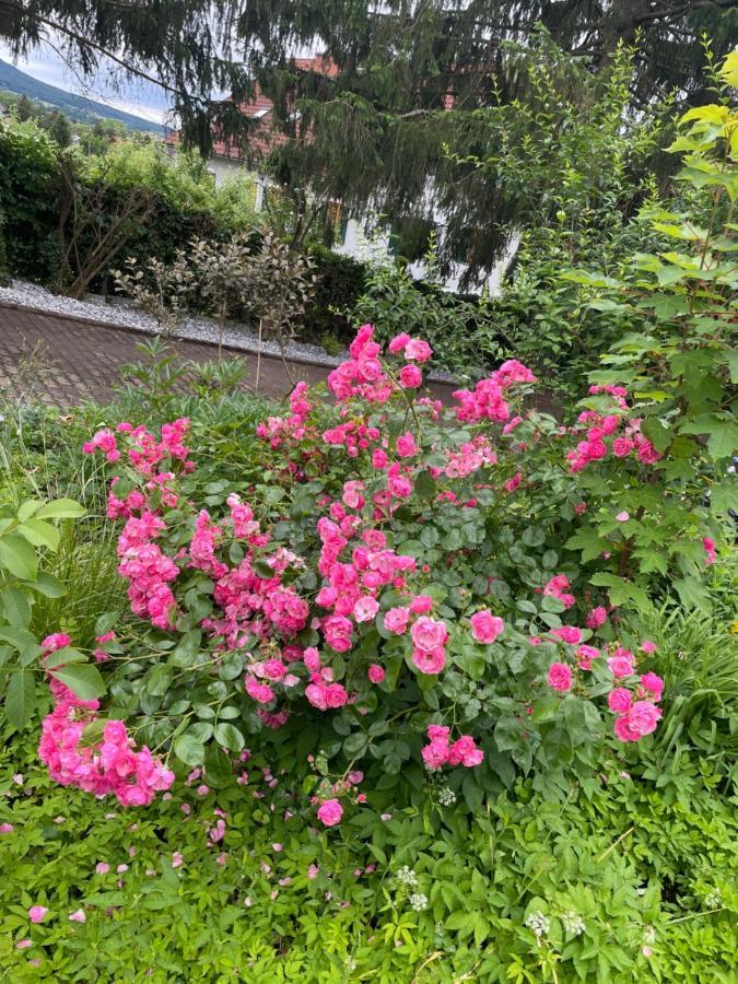 Freiblick 1 Bad Glbg Mit Garten Top1 Bad Gleichenberg Εξωτερικό φωτογραφία