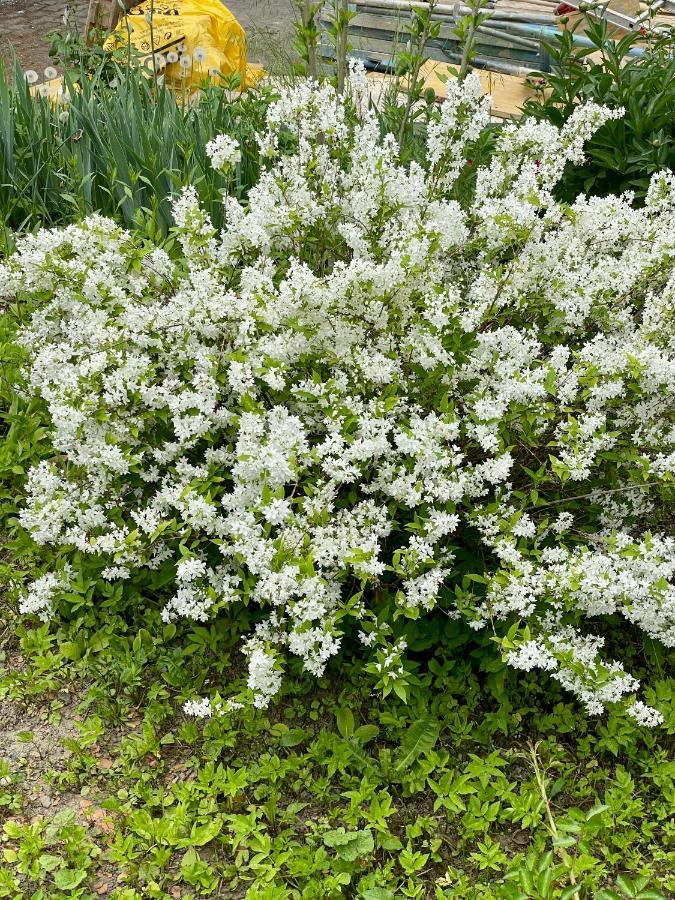 Freiblick 1 Bad Glbg Mit Garten Top1 Bad Gleichenberg Εξωτερικό φωτογραφία